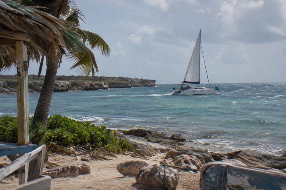 A catamaran under sail on flat morning water along a sandy coast