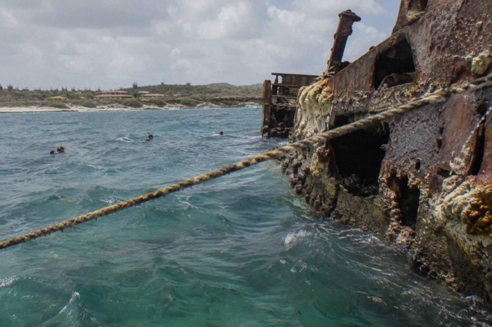 A coral encrusted shipwreck hull breaking the surface of clear blue water