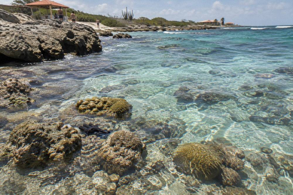 Calm turquoise water over a shallow reef with scattered coral formations
