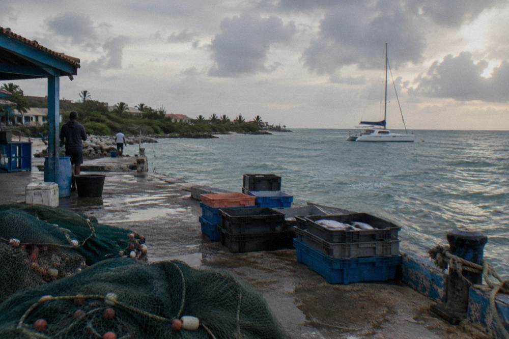 A catamaran anchored near a beach with calm water and a cloudy evening sky