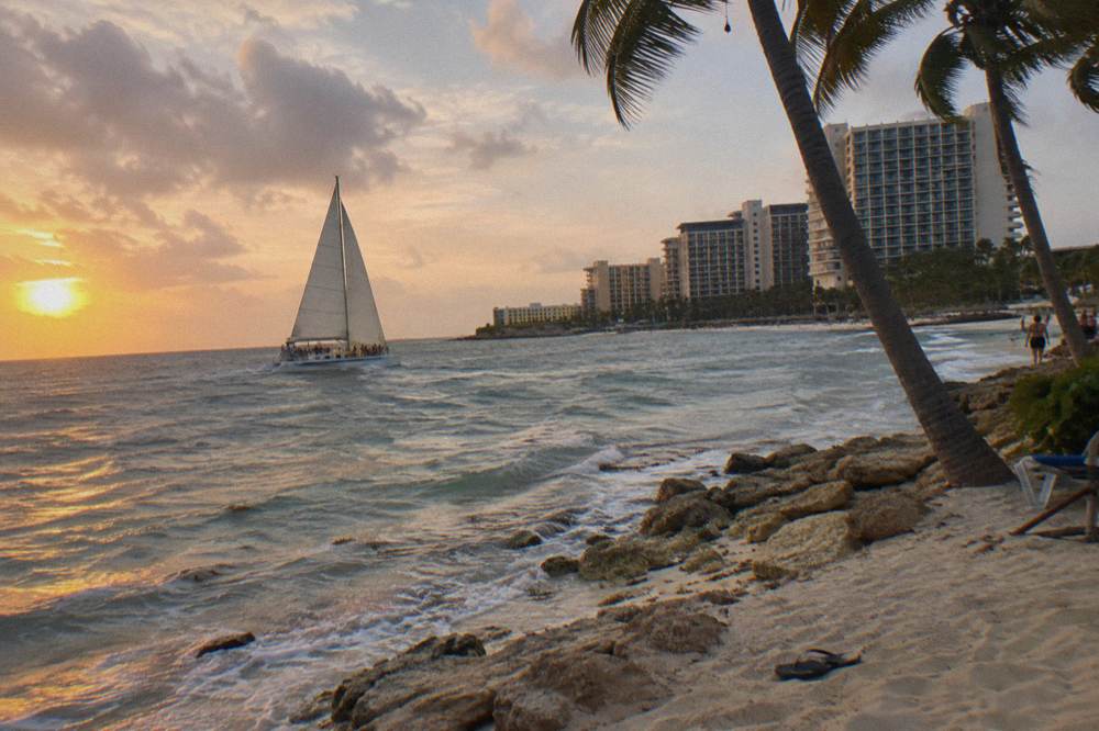 A catamaran under sail along a palm-lined coast at golden hour