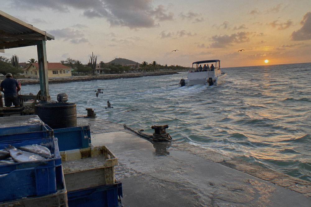 Catamaran sails along a calm coastline toward a low orange sun near the horizon
