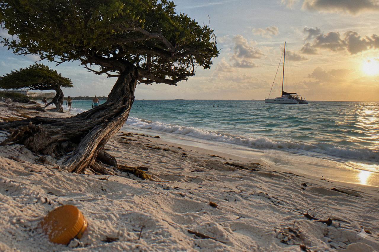 A catamaran anchored in clear turquoise water off a white sand Aruba beach at golden hour