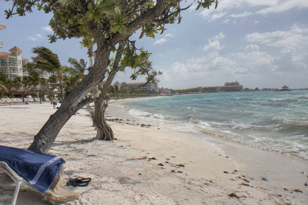A wide white sand beach with leaning fofoti trees along the shoreline