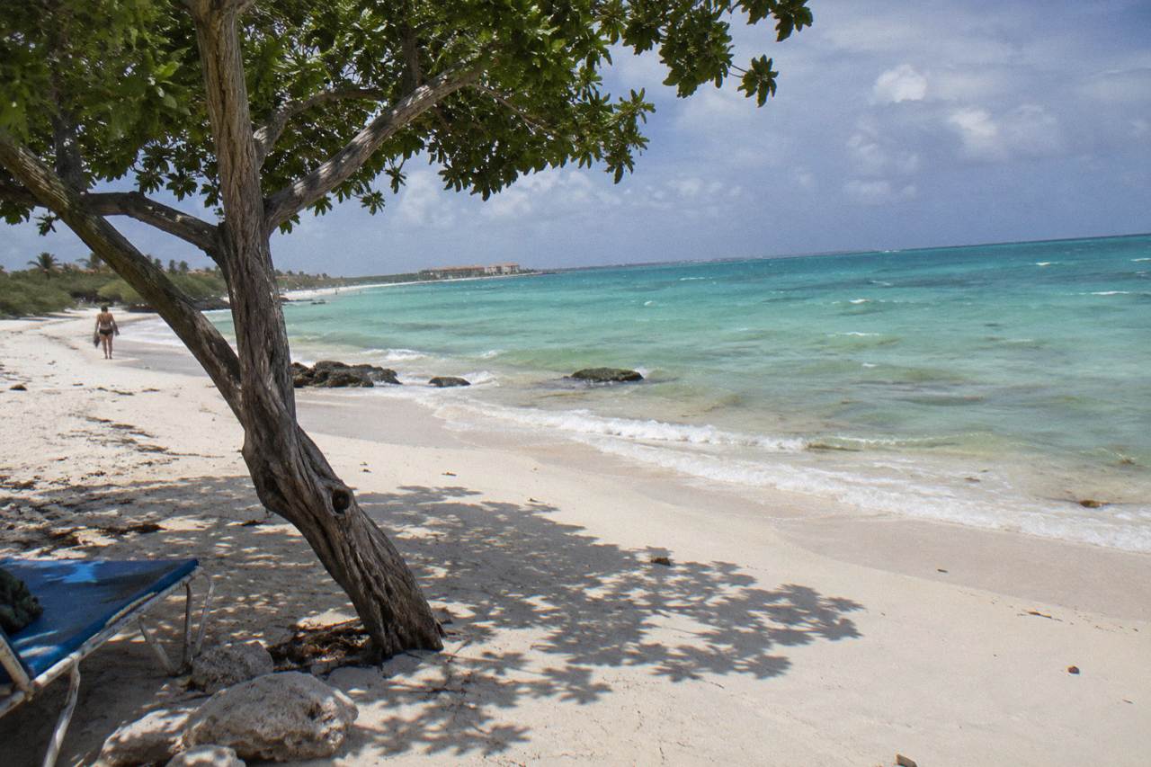 Turquoise water and a white sand beach on Aruba's leeward coast
