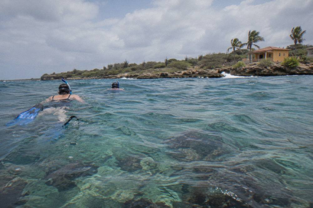 Snorkelers floating over a shallow coral reef in clear blue water