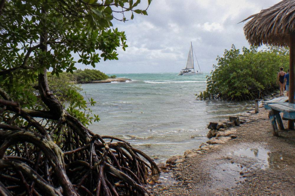A catamaran under sail on flat turquoise water near a rocky coastline