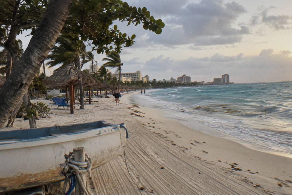 Long stretch of pale sand with leaning divi trees and calm blue water at dawn
