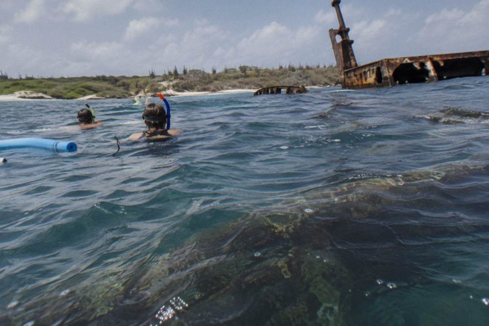 Snorkelers floating on the surface above the dark outline of a large sunken hull