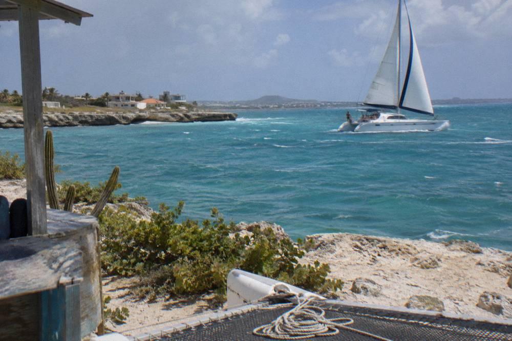 A catamaran under sail along a calm coastline in early morning light