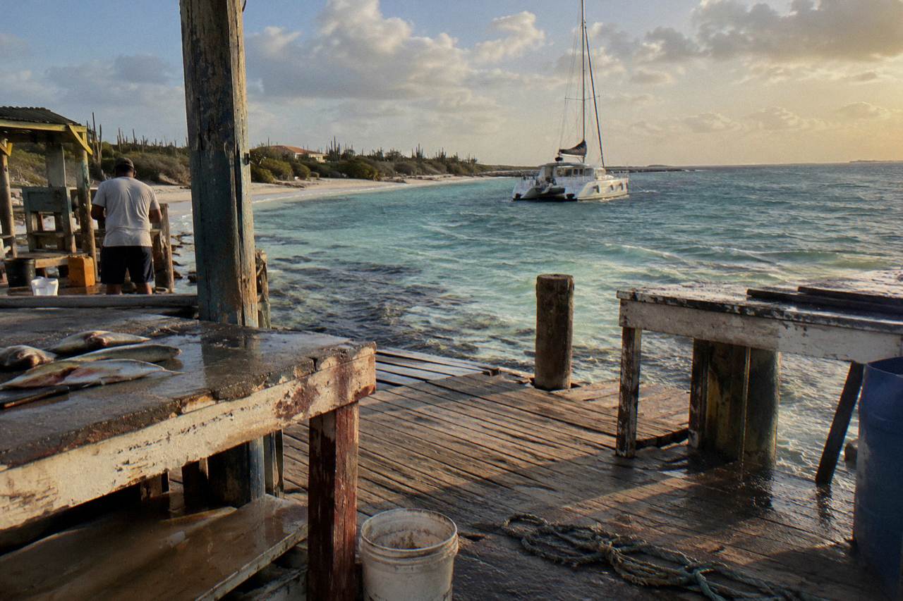 A catamaran moored in clear shallow water beside a sandy Aruba beach at golden hour