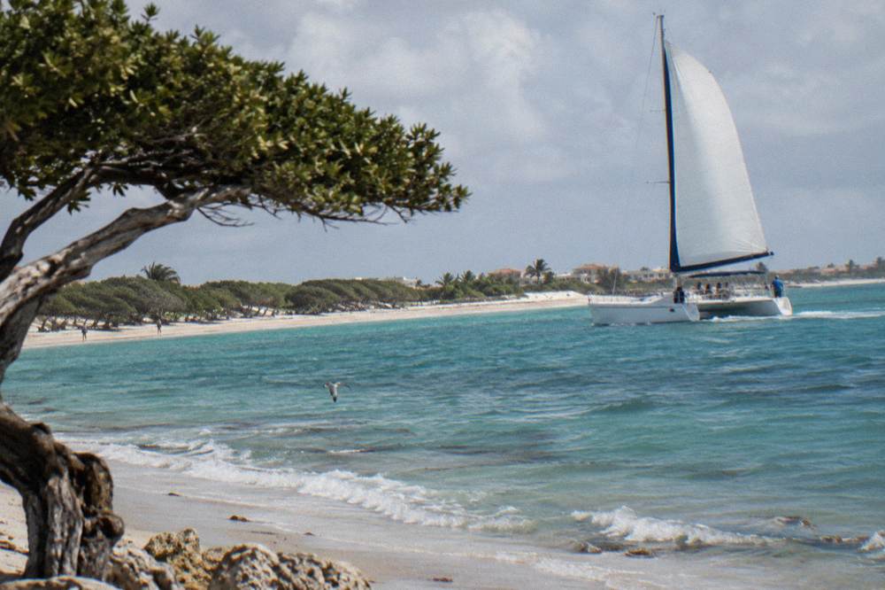 A catamaran under sail on calm turquoise water along a sandy coastline