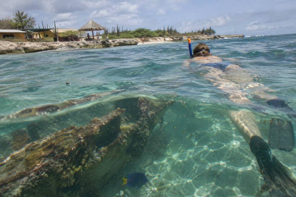 Snorkeler floating above a shipwreck hull in clear blue water