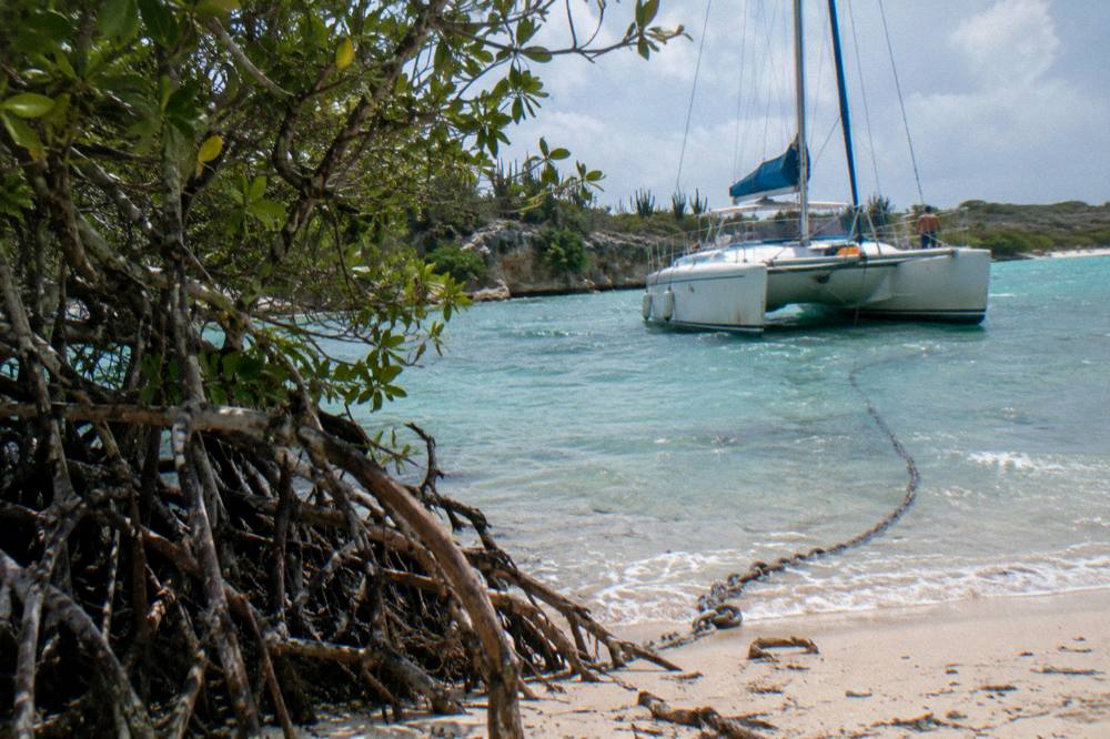 Catamaran moored beside a quiet beach with calm turquoise shallows