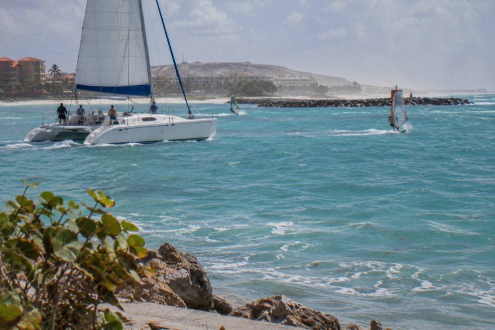A white catamaran sailing on calm turquoise water off a palm-lined Aruba beach