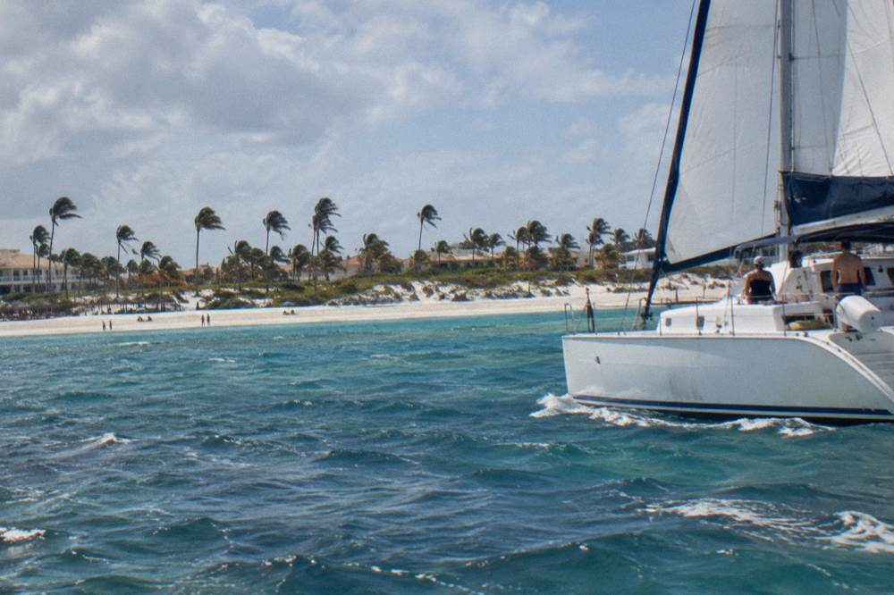 A catamaran under sail on flat blue water with palm trees lining the shore behind it