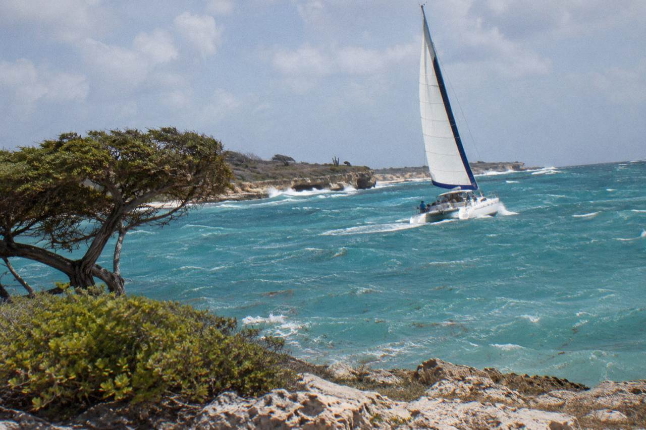 A catamaran sailing on calm turquoise water off the Aruba coast at midday