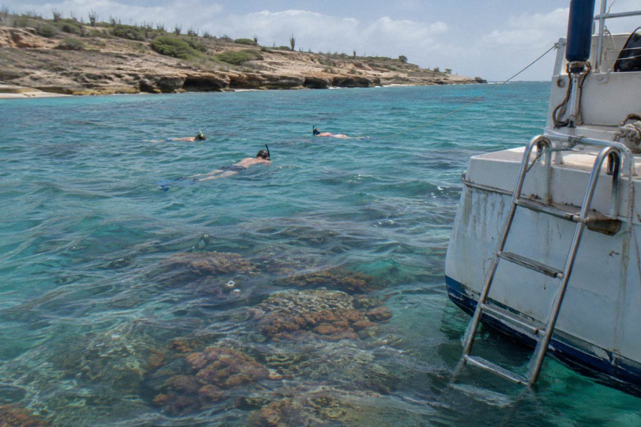 Snorkelers in clear water above a coral reef beside a moored catamaran