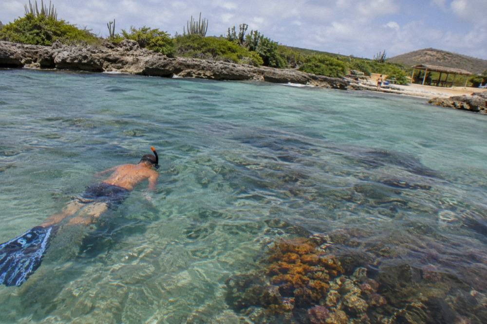 Snorkeler floating over turquoise water above a shallow reef