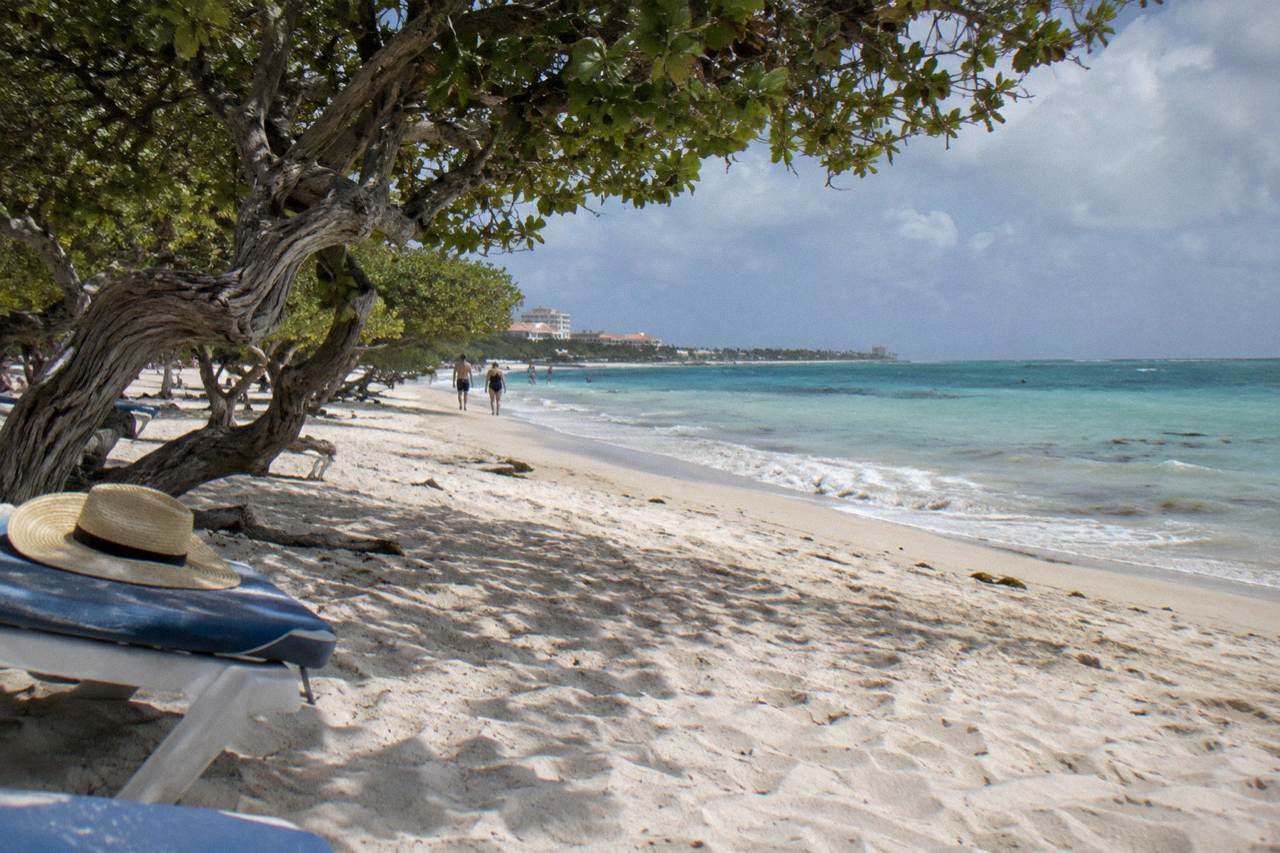 Wide white sand beach in Aruba with calm turquoise water and divi trees along the shore