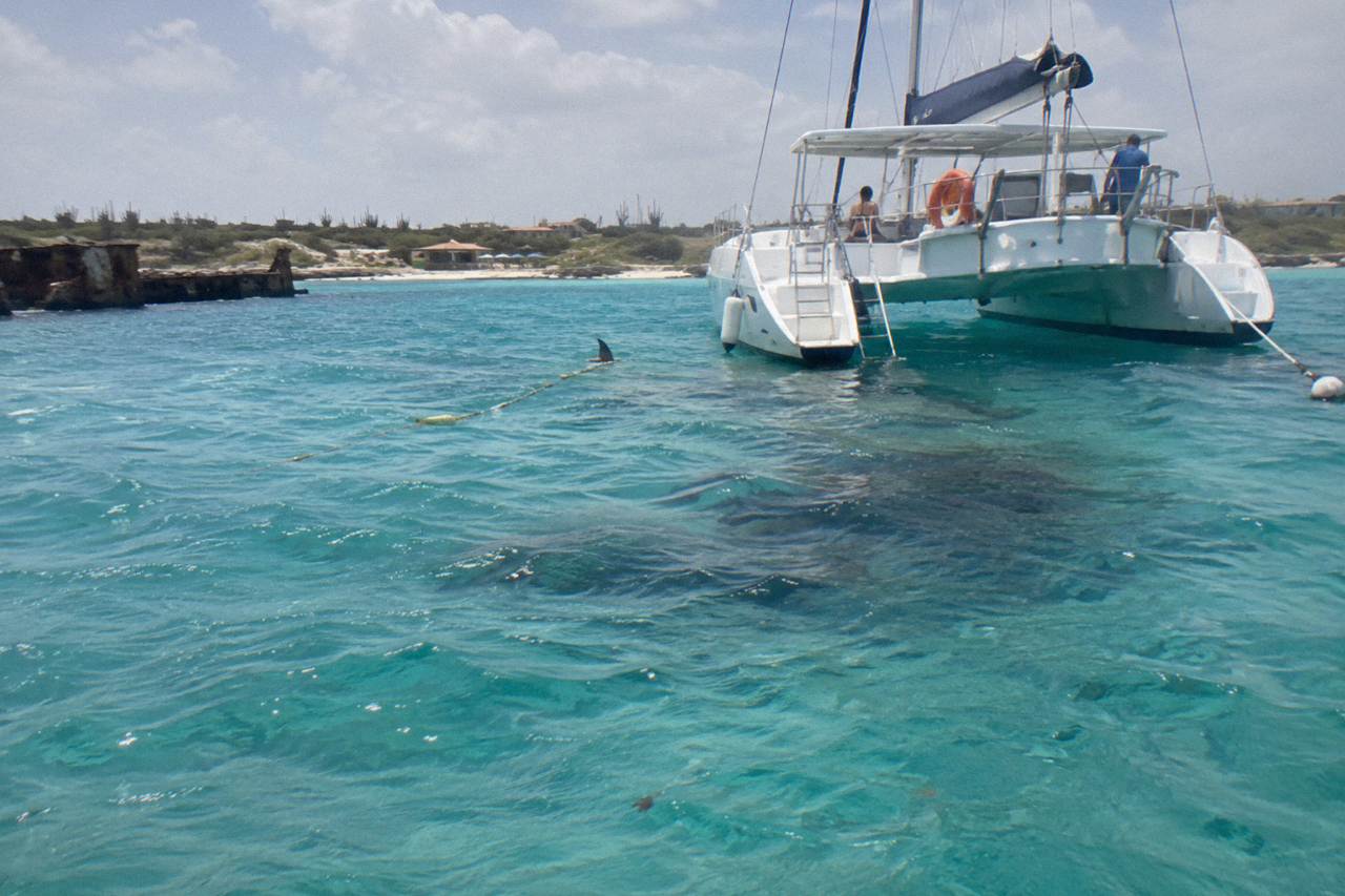 Catamaran moored over turquoise water above a coral reef in Aruba