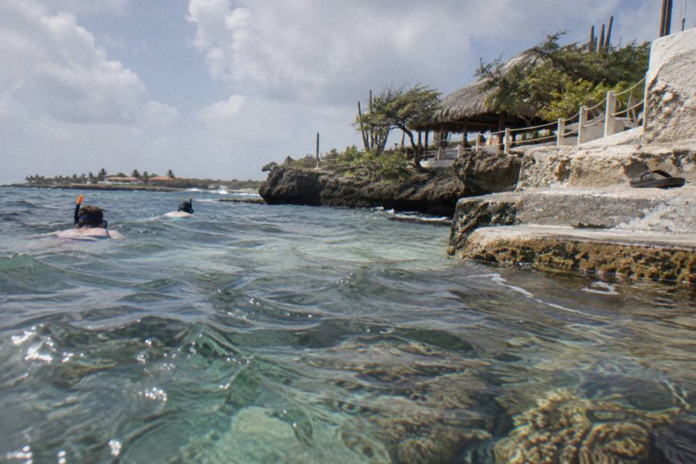 Snorkelers in clear calm water above a coral reef in Aruba