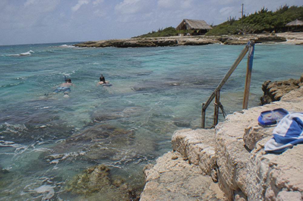 Snorkelers beside a coral reef in clear shallow water