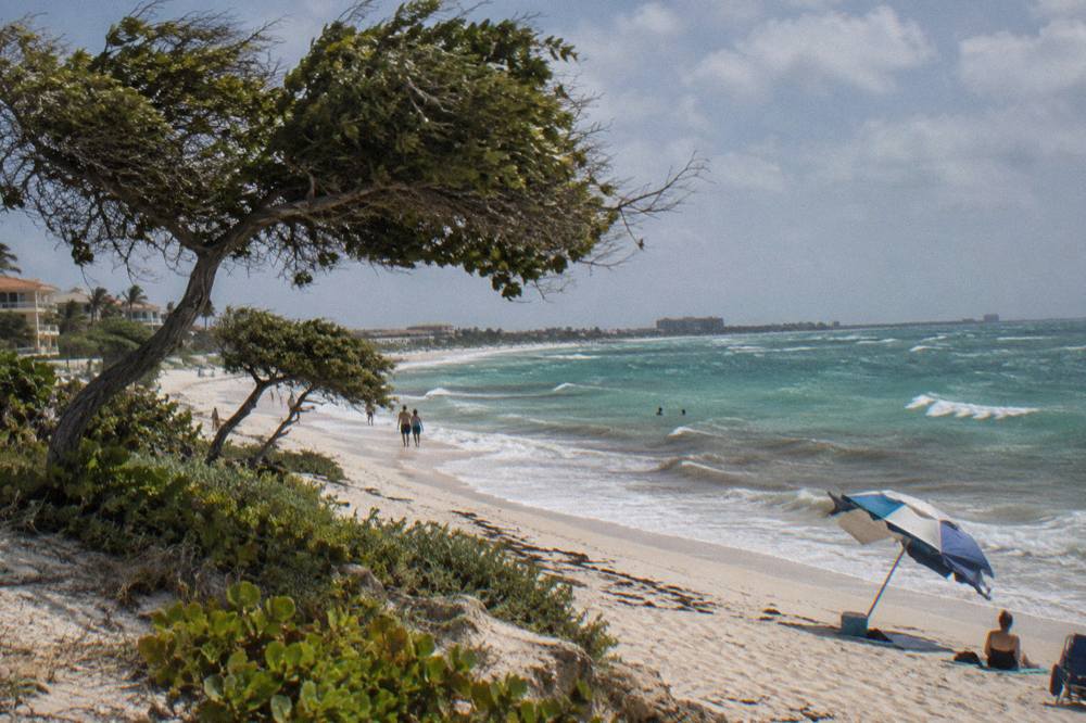 Wide sandy beach with leaning divi divi trees and gentle waves at midday