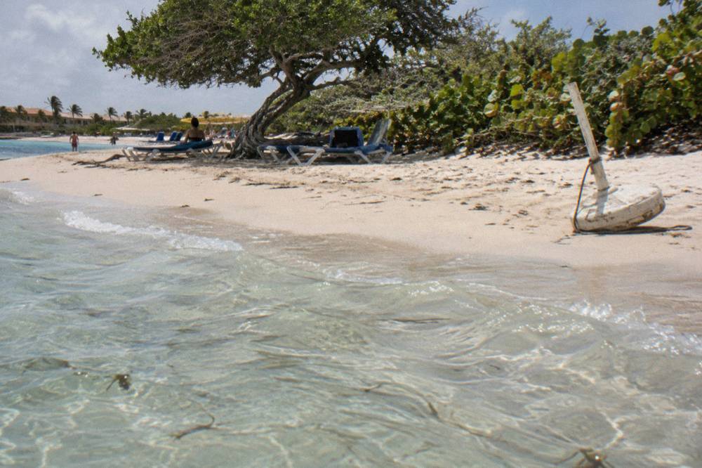 Clear shallow water over pale sand with beach chairs set back under trees
