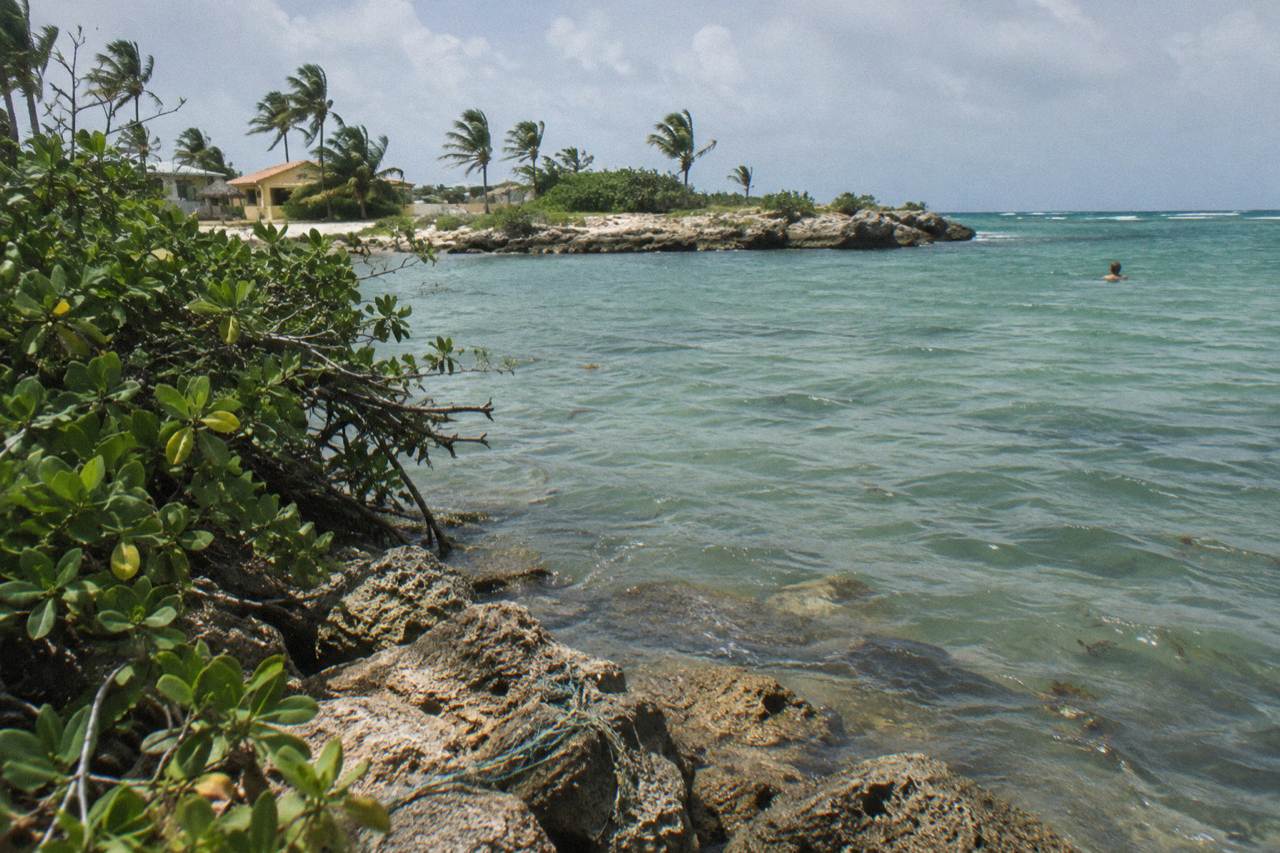 Calm turquoise water along a sandy Aruba beach with low rocky point and scattered palms