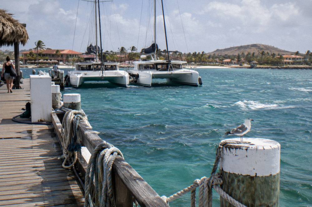 Two catamarans moored side by side at a wooden pier in bright morning light