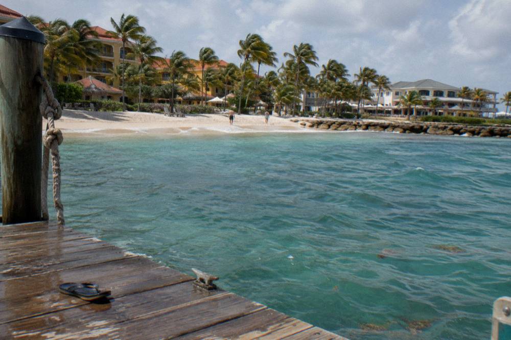 Wooden dock and calm beach with turquoise water and palm trees near a town waterfront