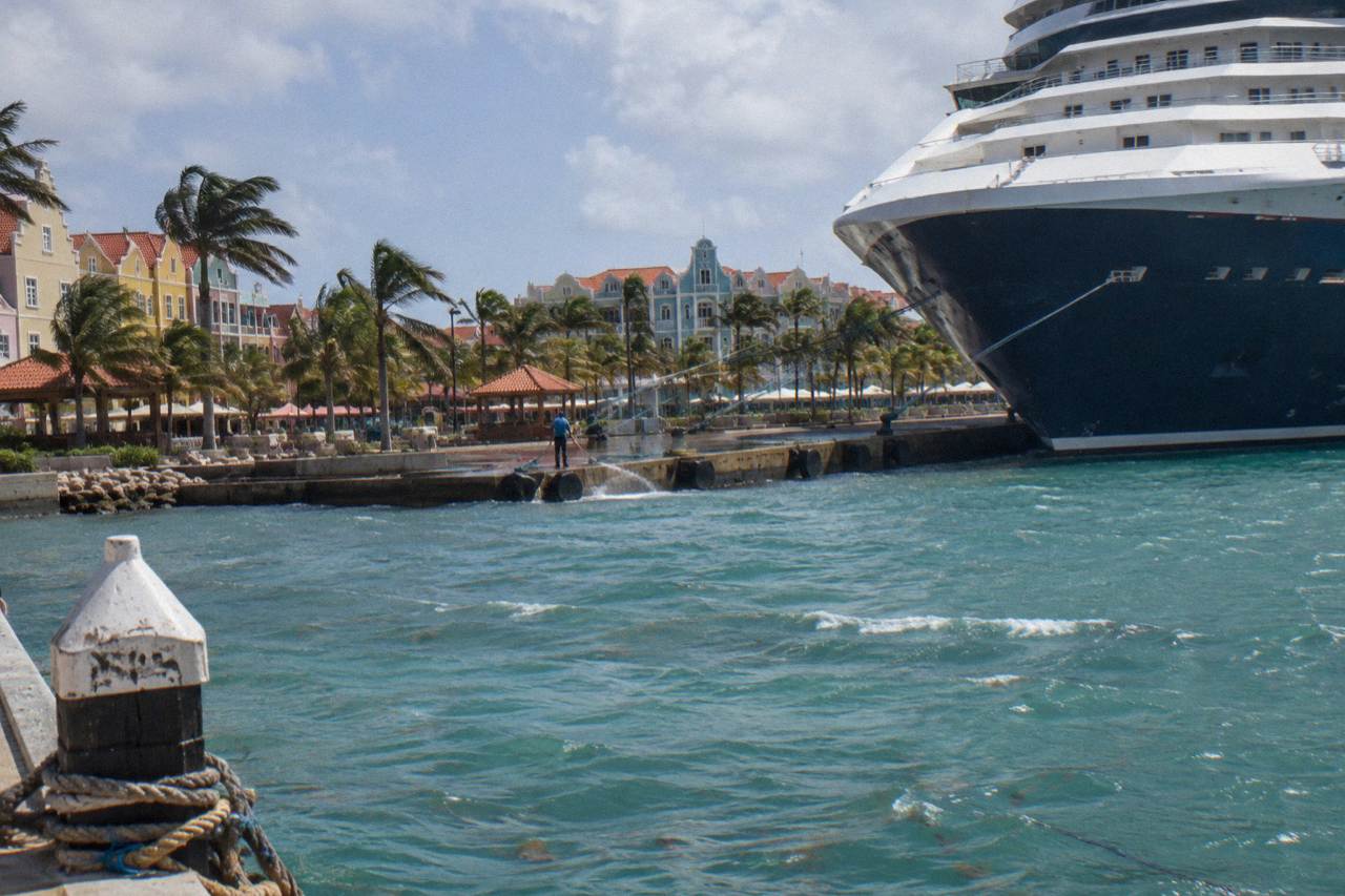Cruise ship docked at a waterfront marina with palm trees and calm turquoise water