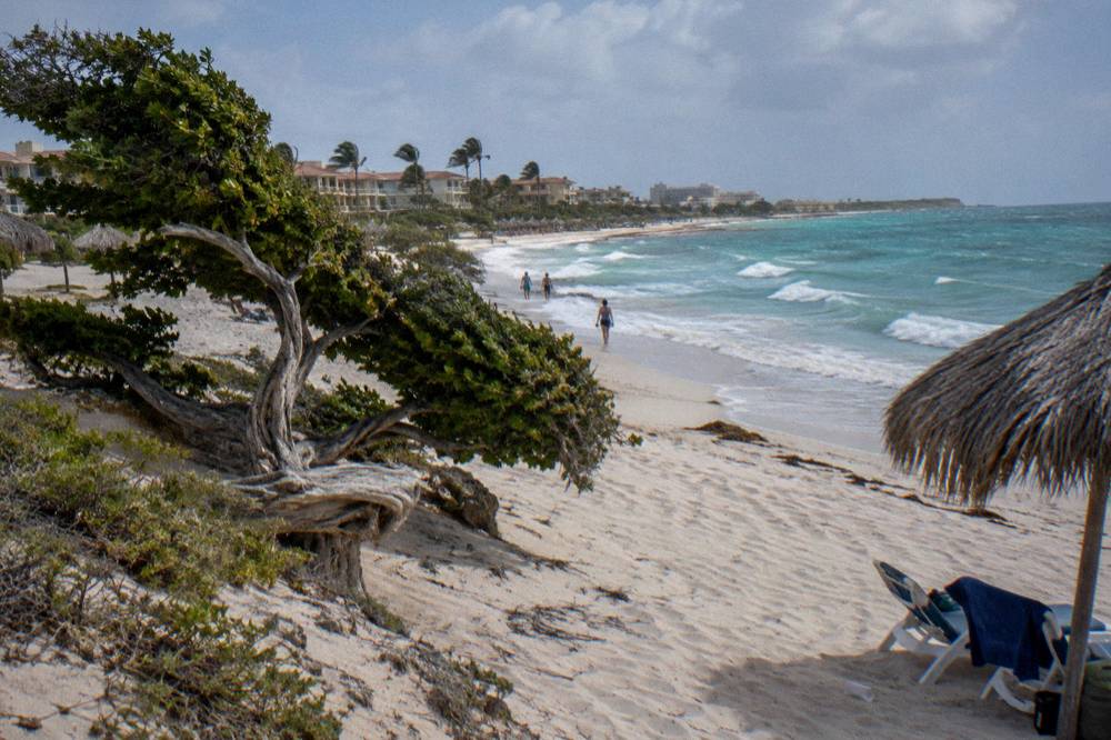 White sand beach with palm trees and hotel towers along the shoreline