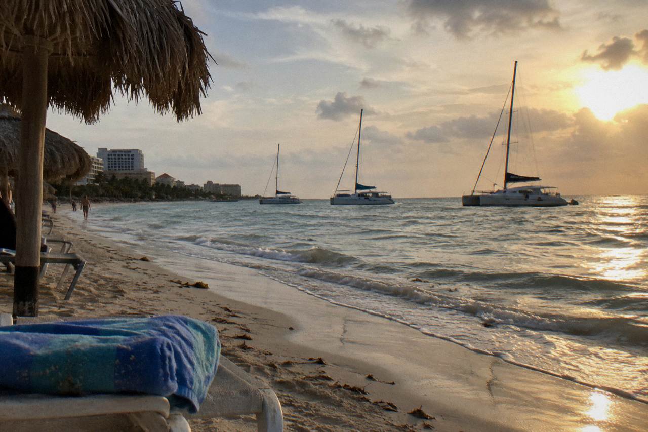Catamarans moored along a calm Palm Beach shoreline at golden hour