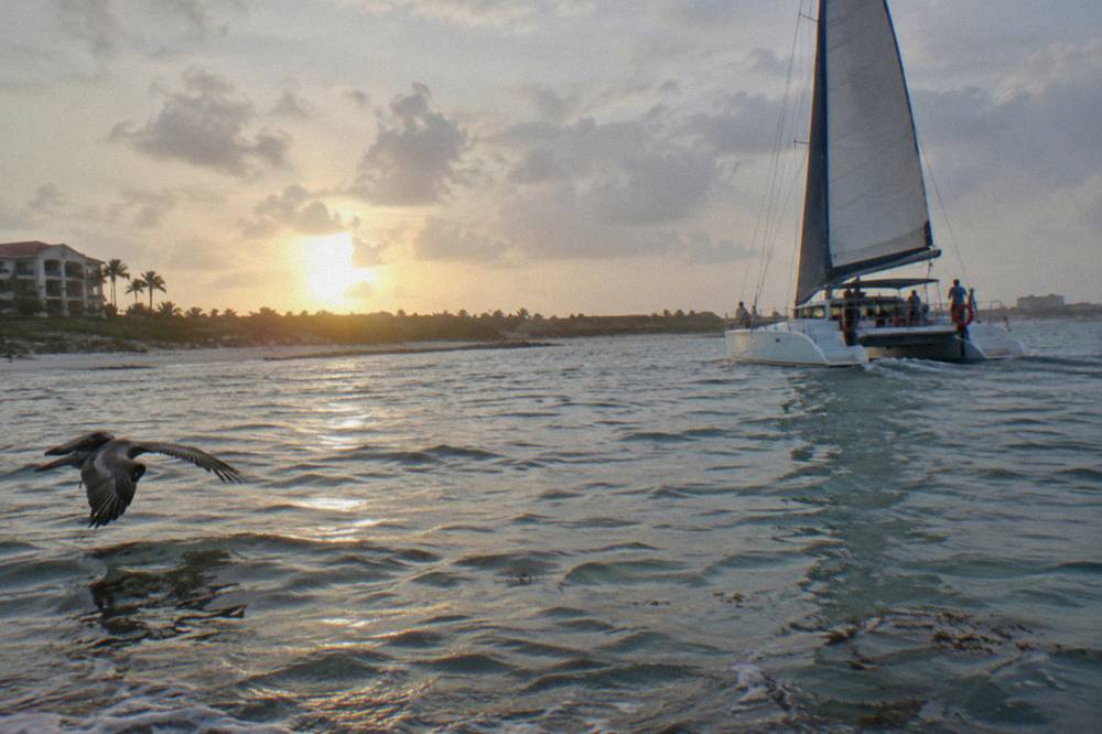 A catamaran under sail on flat morning water with the sun low over the Aruba coastline