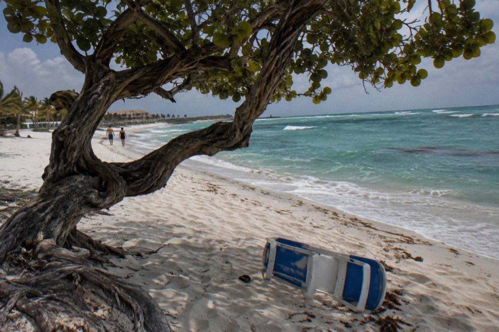 White sand beach in Aruba with calm turquoise water, divi trees and a clear sky