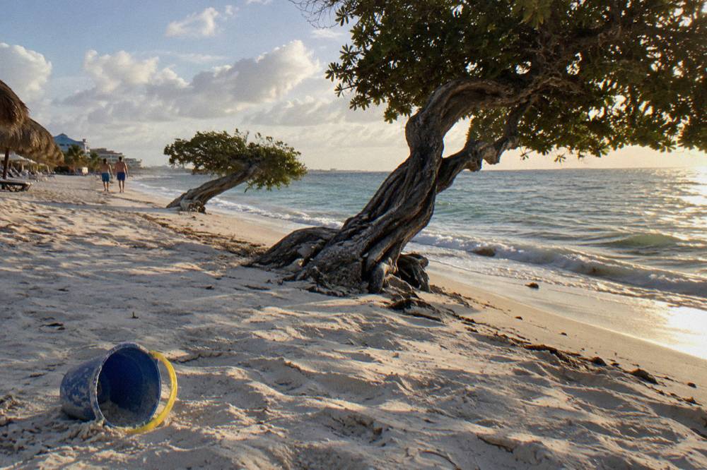 Wide white sand beach with leaning divi trees and calm shallow water at Eagle Beach