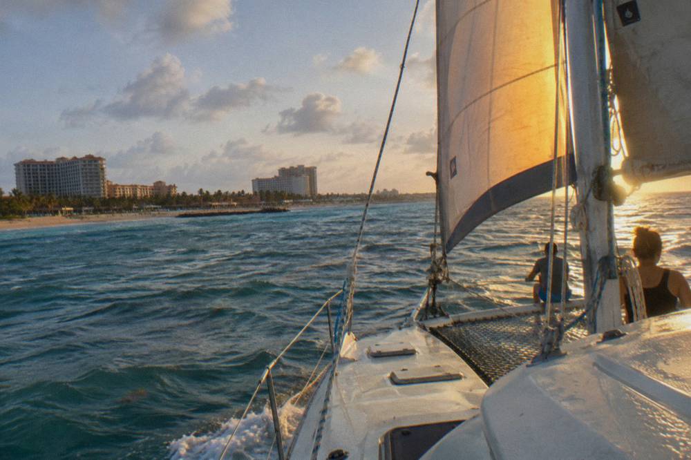 Catamaran under sail along the Palm Beach coastline in late afternoon light